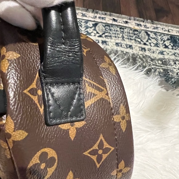 Louis Vuitton Mini Palm Spring - Picture 8 of 16